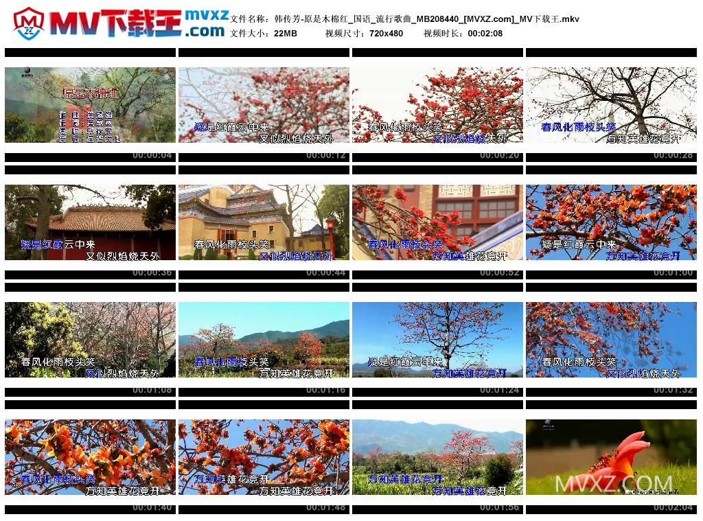 韩传芳-原是木棉红_国语_流行歌曲_MB208440